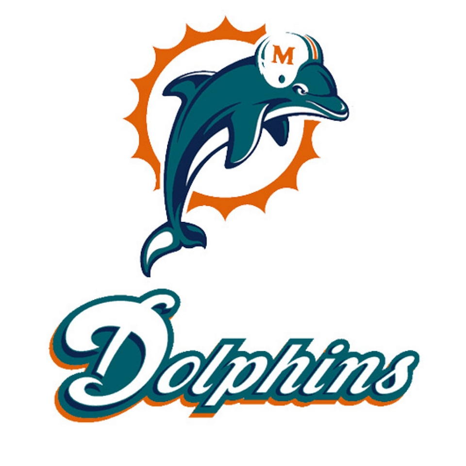 Rico Industries Miami Dolphins Static Cling Decal   Sports Fan Shop By