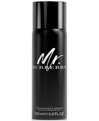 mr burberry macy's