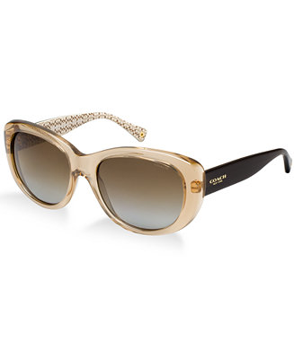 COACH Sunglasses, HC8083 DARCY - Sunglasses by Sunglass Hut - Handbags ...